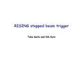 RISING stopped beam trigger Take Saito and Nik Kurz.