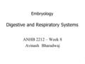 Embryology Digestive and Respiratory Systems