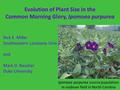 Evolution of Plant Size in the Common Morning Glory, Ipomoea purpurea Rick E. Miller Southeastern Louisiana Univ and Mark D. Rausher Duke University Ipomoea.