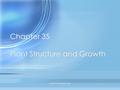 1 travismulthaupt.com Chapter 35 Plant Structure and Growth.