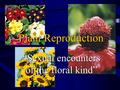 Plant Reproduction “Sexual encounters of the floral kind”