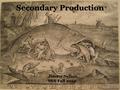 Secondary Production Jimmy Nelson SES Fall 2012. SECONDARY PRODUCTION  WHAT IS IT?  WHAT INFLUENCES IT?  WHAT DETERMINES PATTERNS OF ENERGY FLOW THROUGH.