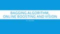 BAGGING ALGORITHM, ONLINE BOOSTING AND VISION Se – Hoon Park.