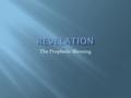 The Prophetic Blessing.  Main reason for being: to bring hope and inspiration to the followers of Jesus; describe the victory of God over evil; describe.