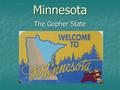 Minnesota The Gopher State. The Minnesota state flag is royal blue, with a gold fringe. In the center of the flag is the state seal. Around the state.