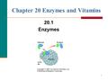 1 Chapter 20 Enzymes and Vitamins 20.1 Enzymes Copyright © 2007 by Pearson Education, Inc. Publishing as Benjamin Cummings.