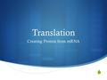  Translation Creating Protein from mRNA Protein Structure  Proteins are made of Amino Acids.  There are 20 different Amino Acids.  The sequence of.