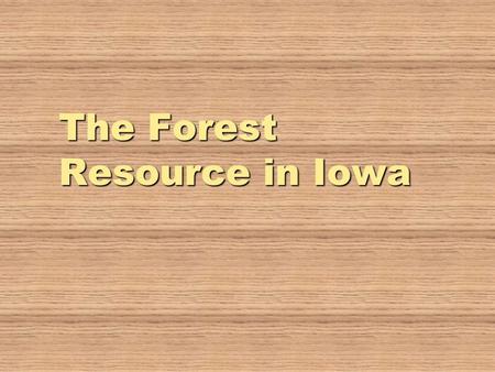 The Forest Resource in Iowa. Iowa’s Forest Cover   Iowa’s forests cover 8% of our landscape   87% of our 2,97,000 acres are owned by private landowners.