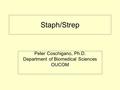 Staph/Strep Peter Coschigano, Ph.D. Department of Biomedical Sciences OUCOM.