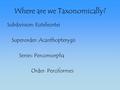 Where are we Taxonomically? Subdivision: Euteleostei Superorder: Acanthopterygii Series: Percomorpha Order: Perciformes.