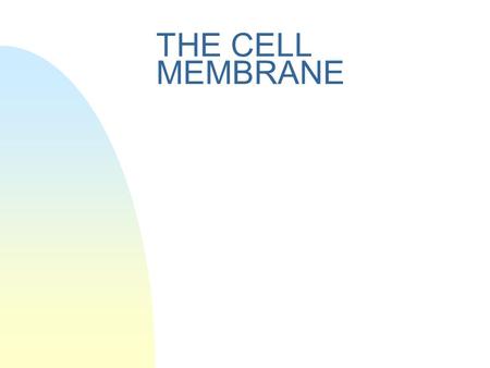 THE CELL MEMBRANE. STRUCTURE OF CELL MEMBRANE – fluid mosaic model double layer of lipid in which large protein molecules are found.