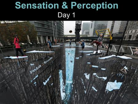 Sensation & Perception Day 1. Scientific Names for the Seven Senses (You Should Know These) Seeing: Hearing: Tasting: Smelling: Sense of Touch: Balance: