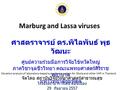 Marburg and Lassa viruses ศาสตราจารย์ ดร. พิไลพันธ์ พุธ วัฒนะ ศูนย์ความร่วมมือการวิจัยไข้หวัดใหญ่ ภาควิชาจุลชีววิทยา คณะแพทยศาสตร์ศิริราช พยาบาล มหาวิทยาลัยมหิดล.