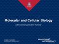 Admissions Application Tutorial Molecular and Cellular Biology.