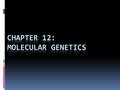 Journal  Sketch a model of DNA and list three facts about DNA.