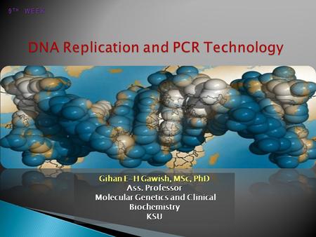 Gihan E-H Gawish, MSc, PhD Ass. Professor Molecular Genetics and Clinical Biochemistry Molecular Genetics and Clinical BiochemistryKSU 9 TH WEEK.