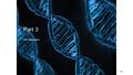 Part 3 DNA Replication 24-1. Learning Targets 5. Understand base pairing and its role in replication, transcription and translation. 6. Understand that.