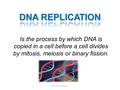 Is the process by which DNA is copied in a cell before a cell divides by mitosis, meiosis or binary fission. María Paula Vélez R.