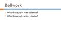 Bellwork  What base pairs with adenine?  What base pairs with cytosine?