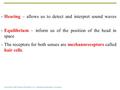 Copyright © 2006 Pearson Education, Inc., publishing as Benjamin Cummings  Hearing – allows us to detect and interpret sound waves  Equilibrium – inform.