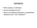 DATABASE What exactly is a database How do databases work? What's the difference between a spreadsheet database and a real database?