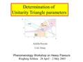 Determination of Unitarity Triangle parameters Achille Stocchi LAL-Orsay Phenomenology Workshop on Heavy Flavours Ringberg Schloss 28 April – 2 May 2003.