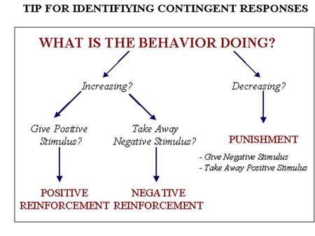 Is the organism learning associations between events that it doesn’t control? Is the organism learning associations between its behavior and resulting.