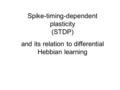 Spike-timing-dependent plasticity (STDP) and its relation to differential Hebbian learning.