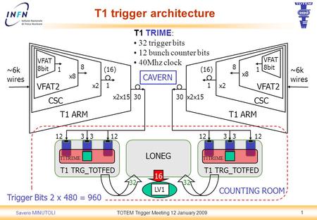 Saverio MINUTOLITOTEM Trigger Meeting 12 January 20091 ~6k wires VFAT2 CSC T1 ARM 1 8 x2 1 30 ~6k wires VFAT2 CSC T1 ARM 1 8 x2 1 x2x15 30 T1 TRG_TOTFED.