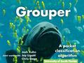 1. Outline Introduction Related work on packet classification Grouper Performance Analysis Empirical Evaluation Conclusions 2/42.