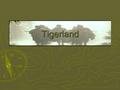 Tigerland Tigerland. The American War Movie ► Films using war as their subject have been around almost since the beginning of the medium (e.g. D W Griffith’s.