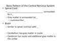 Basic Pattern of the Central Nervous System Spinal Cord – ______________________________ surrounded by a _ – Gray matter is surrounded by _ myelinated.