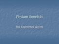 Phylum Annelida The Segmented Worms. Classes of Annelida Class Polychaeta (fanworms, clam worms) Class Polychaeta (fanworms, clam worms) Class Oligochaeta.