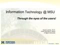 Information MSU Through the eyes of the users! Dewitt Latimer, Ph.D. Chief Information Officer