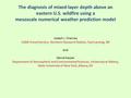 The diagnosis of mixed-layer depth above an eastern U.S. wildfire using a mesoscale numerical weather prediction model Joseph J. Charney USDA Forest Service,