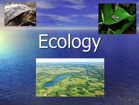 Ecology 1. Questions What is a biome? Give 2 examples. What is a biome? Give 2 examples. Distinguish between the role of biotic and abiotic factors in.