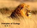 Principles of Ecology By Mr. K. Energy in an Ecosystem  __________________ 2.2 Flow of Energy in an Ecosystem Principles of Ecology  Organism that collects.