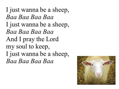 I just wanna be a sheep, Baa Baa I just wanna be a sheep, Baa Baa And I pray the Lord my soul to keep, I just wanna be a sheep, Baa Baa.