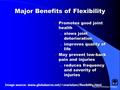 Mayfield Publishing Company Major Benefits of Flexibility  Promotes good joint health – slows joint deterioration – improves quality of life  May prevent.