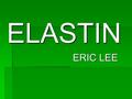 ELASTIN ERIC LEE. -LIKE PO ALBERT KWANSA ADVISOR: PROFESSOR.