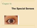 1 Chapter 16 The Special Senses. 2 Chemical senses  Taste (gustation)  Smell (olfaction) Vision The ear  Hearing  Equilibrium.