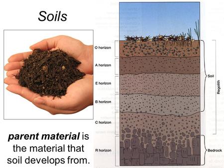 Soils parent material is the material that soil develops from.