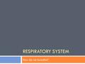 RESPIRATORY SYSTEM How do we breathe?. Warm Up 10/31/11 Answer the following questions in your notes (your side): 1. What organ helps us to breathe? 2.