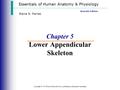 Essentials of Human Anatomy & Physiology Copyright © 2003 Pearson Education, Inc. publishing as Benjamin Cummings Seventh Edition Elaine N. Marieb Chapter.