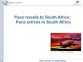 Paco arrives in South Africa Paco travels to South Africa: Paco arrives in South Africa By Sam. C. CommonsSam.