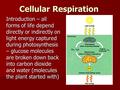 Introduction – all forms of life depend directly or indirectly on light energy captured during photosynthesis – glucose molecules are broken down back.