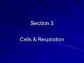 Section 3 Cells & Respiration. Food & Energy We know that the body needs energy from food in order to move, keep warm and grow The chemical process by.