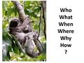 Who What When Where Why How ?. Which continent is loosing the rainforest fastest? In which 10 year period was rainforest lost fastest in South America?