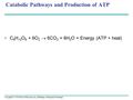 Copyright © 2005 Pearson Education, Inc. publishing as Benjamin Cummings Catabolic Pathways and Production of ATP C 6 H 12 O 6 + 6O 2  6CO 2 + 6H 2 O.