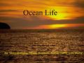 Ocean Life By: Mario Bernabe, Nicole Gutierrez, Keeva Harris, Luis Muniz.